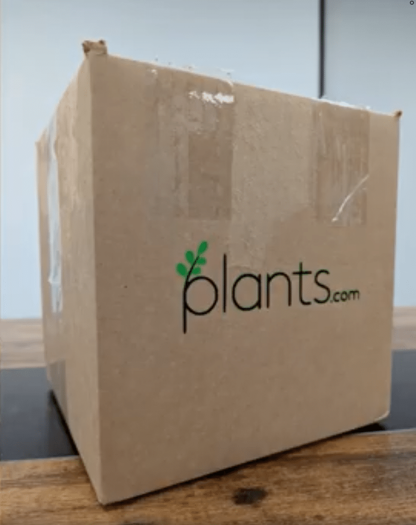 Vinyl decal applied to plain product box for brand approval